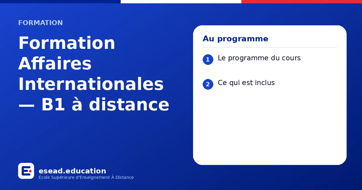 Infographie : Formation Affaires Internationales — B1 à distance — 1. Le programme du cours ; 2. Ce qui est inclus