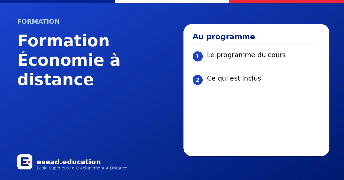 Infographie : Formation Économie à distance — 1. Le programme du cours ; 2. Ce qui est inclus