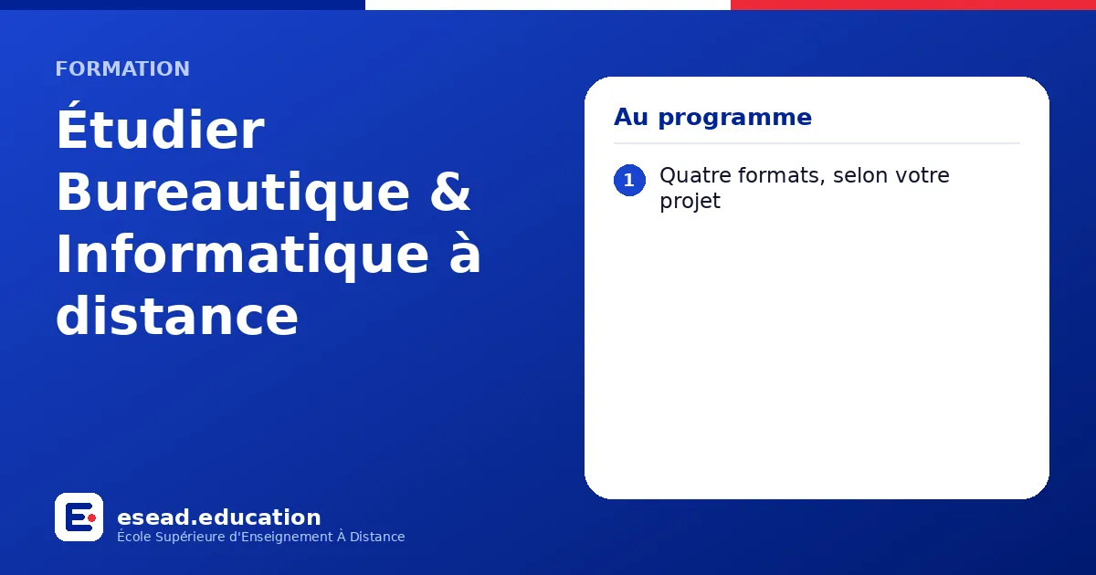 Infographie : Étudier Bureautique & Informatique à distance — 1. Quatre formats, selon votre projet