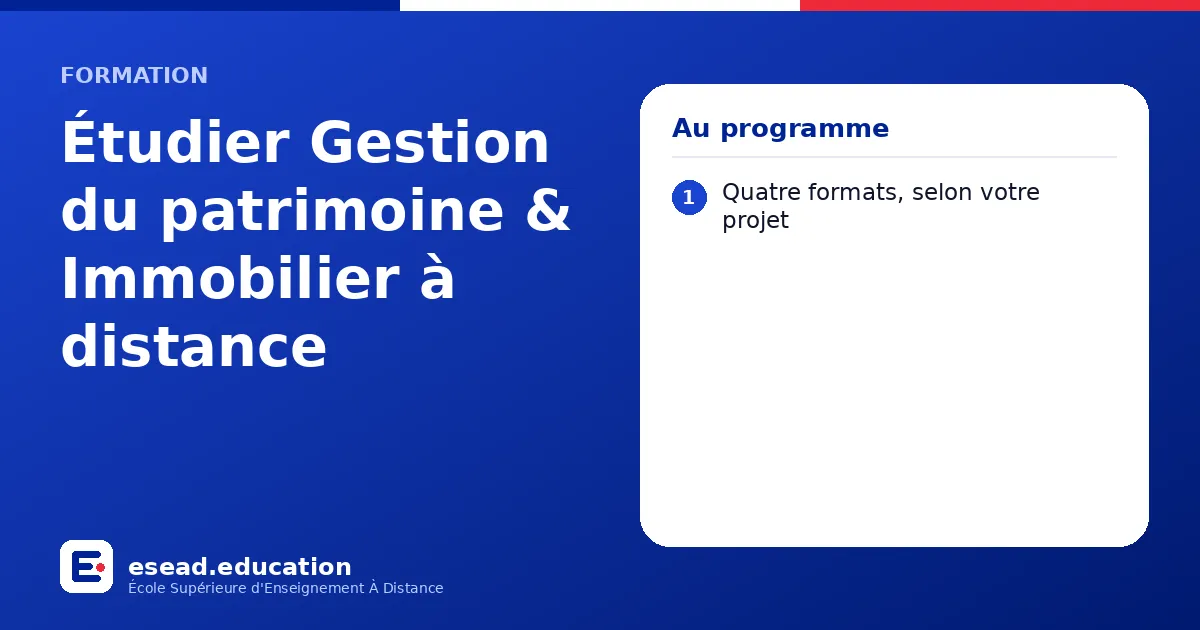 Infographie : Étudier Gestion du patrimoine & Immobilier à distance — 1. Quatre formats, selon votre projet