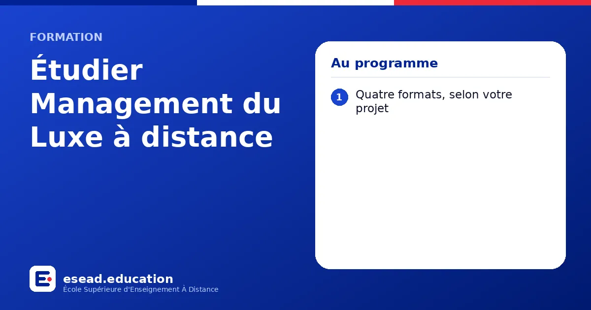 Infographie : Étudier Management du Luxe à distance — 1. Quatre formats, selon votre projet
