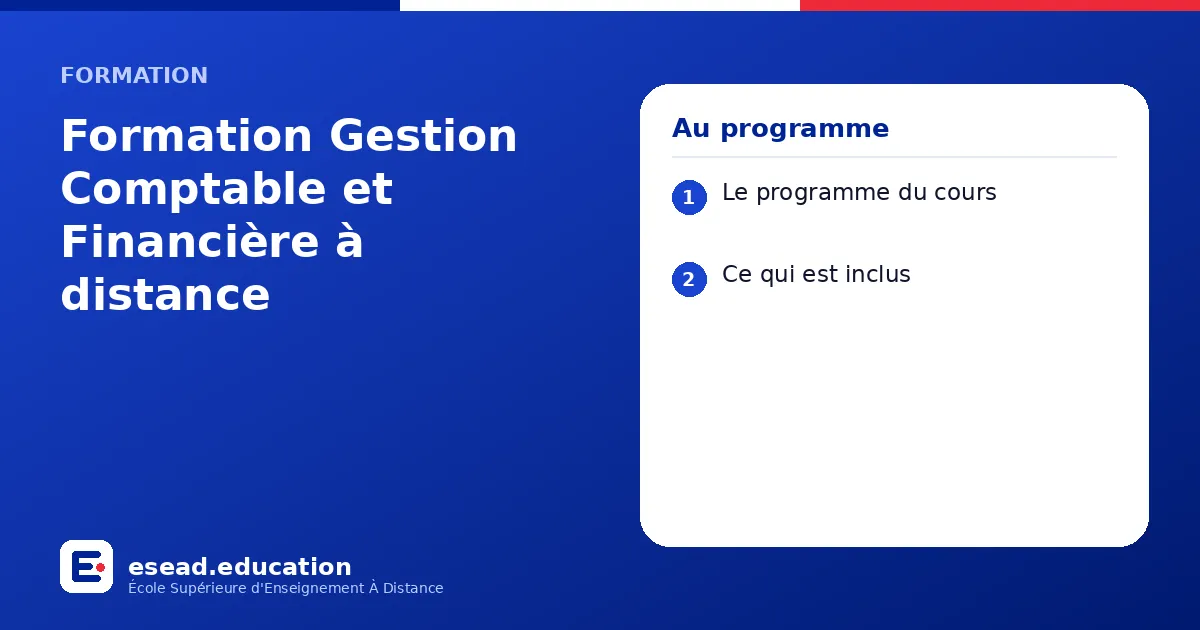 Infographie : Formation Gestion Comptable et Financière à distance — 1. Le programme du cours ; 2. Ce qui est inclus