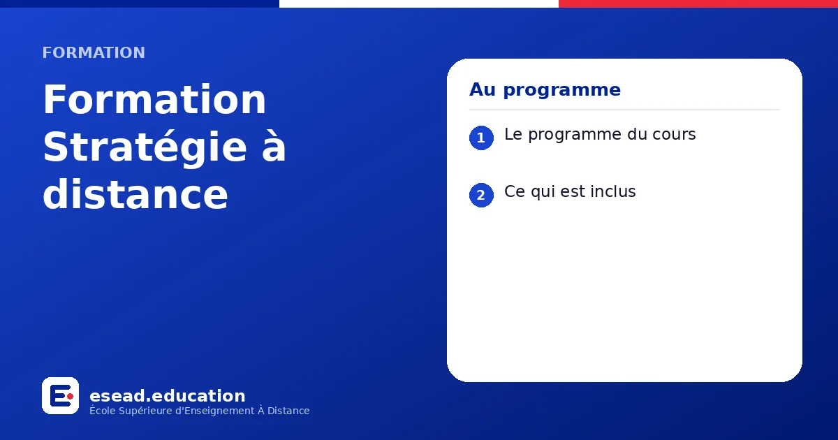 Infographie : Formation Stratégie à distance — 1. Le programme du cours ; 2. Ce qui est inclus