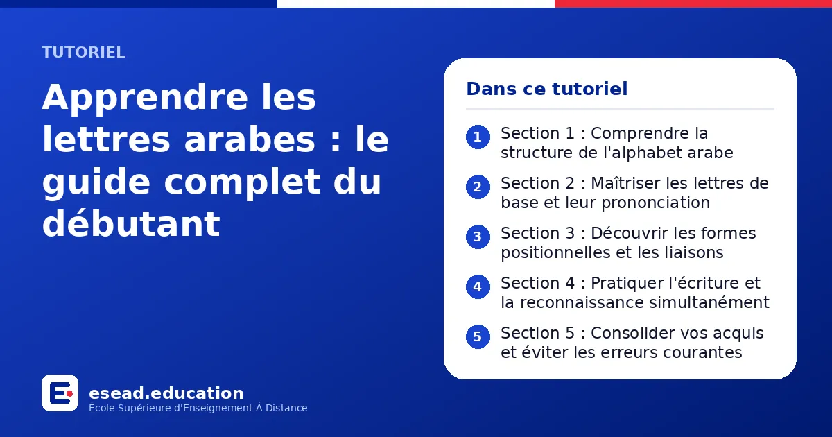 Infographie : Apprendre les lettres arabes : le guide complet du débutant — 1. Section 1 : Comprendre la structure de l'alphabet arabe ; 2. Section 2 : Maîtriser les lettres de base et leur prononciation ; 3. Section 3 : Découvrir les forme