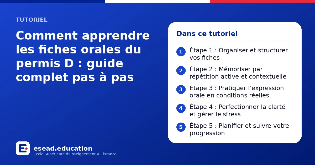Infographie : Comment apprendre les fiches orales du permis D : guide complet pas à pas — 1. Étape 1 : Organiser et structurer vos fiches ; 2. Étape 2 : Mémoriser par répétition active et contextuelle ; 3. Étape 3 : Pratiquer l'expression o