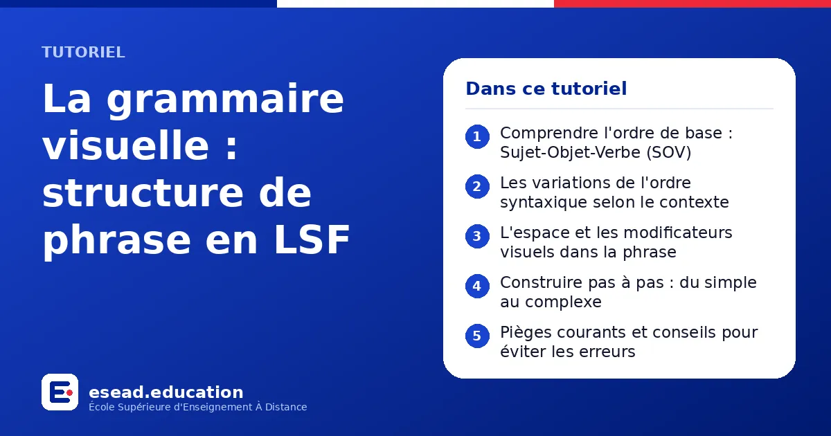 Infographie : La grammaire visuelle : structure de phrase en LSF — 1. Comprendre l'ordre de base : Sujet-Objet-Verbe (SOV) ; 2. Les variations de l'ordre syntaxique selon le contexte ; 3. L'espace et les modificateurs visuels dans la phrase